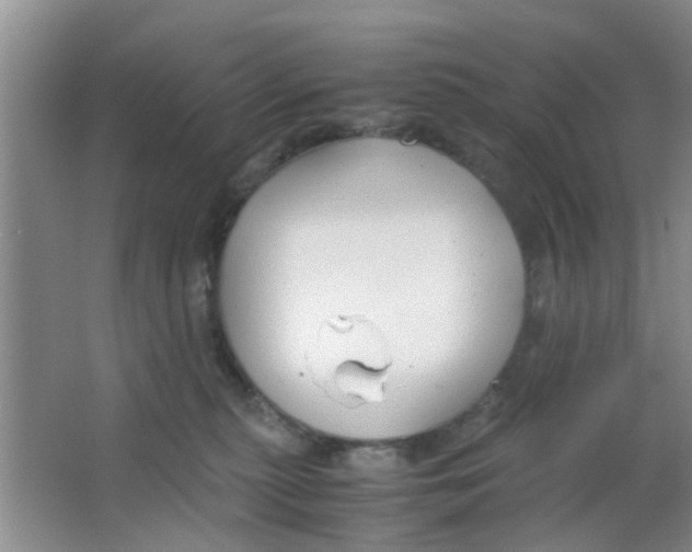 X0000063520279200602101959