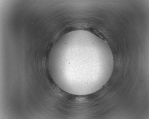 X0000063520283200602101959