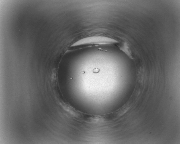 X0000063520284200602101959