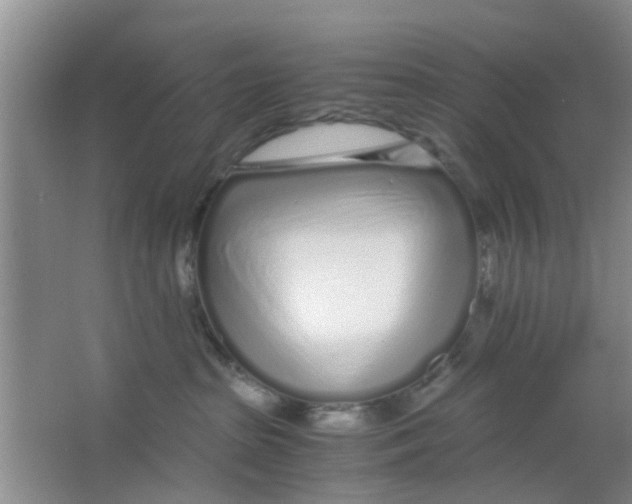 X0000063520285200602101959