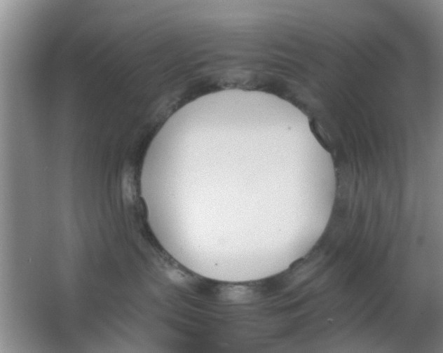 X0000063520287200602101959