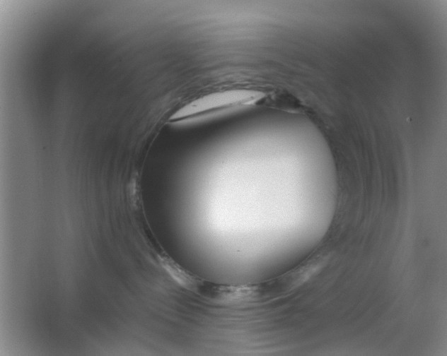 X0000063520288200602101959