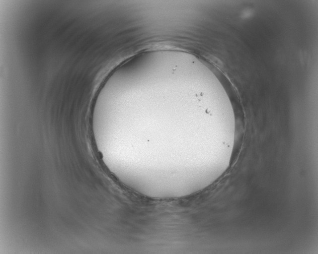 X0000063520289200602101959