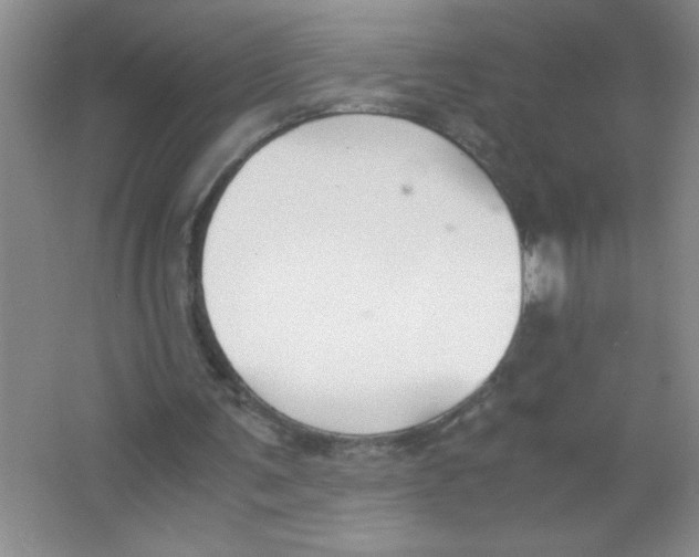 X0000063520291200602101958