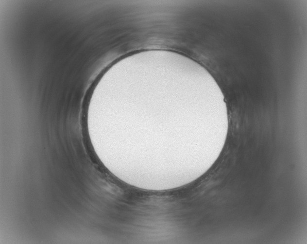 X0000063520292200602101958