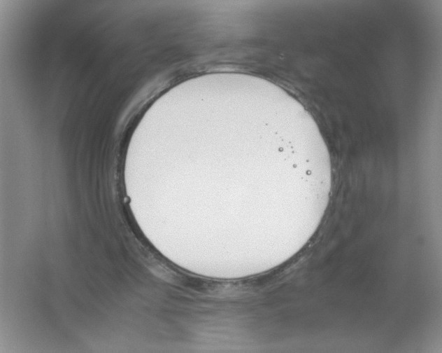 X0000063520293200602101958