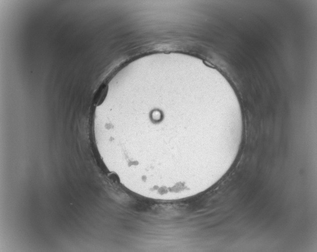 X0000063520297200602101958