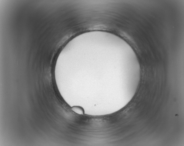 X0000063520298200602101958