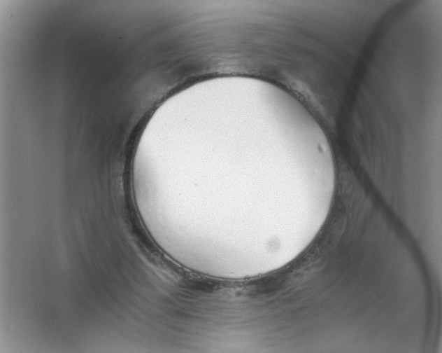 X0000063520299200602101958