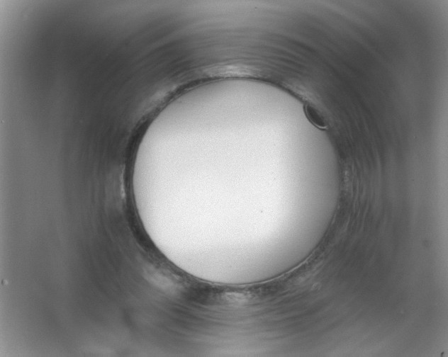 X0000063520302200602101958