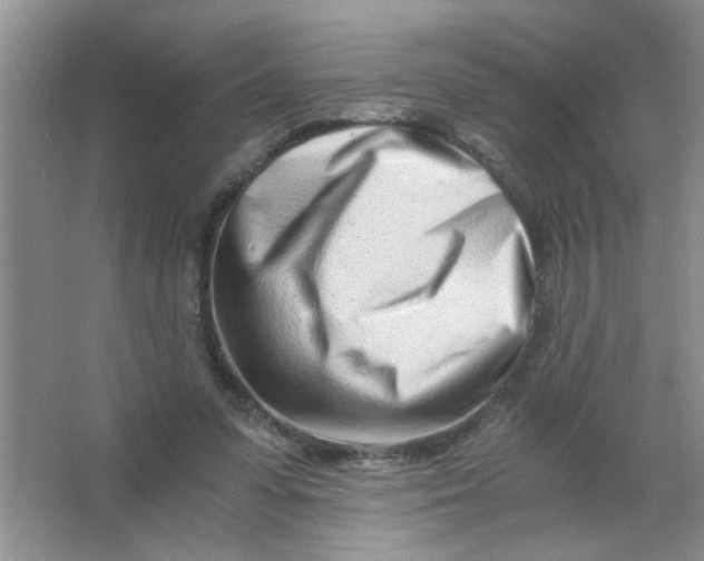 X0000063520303200602101958