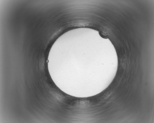 X0000063520304200602101958