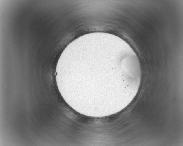 X0000063520305200602101958