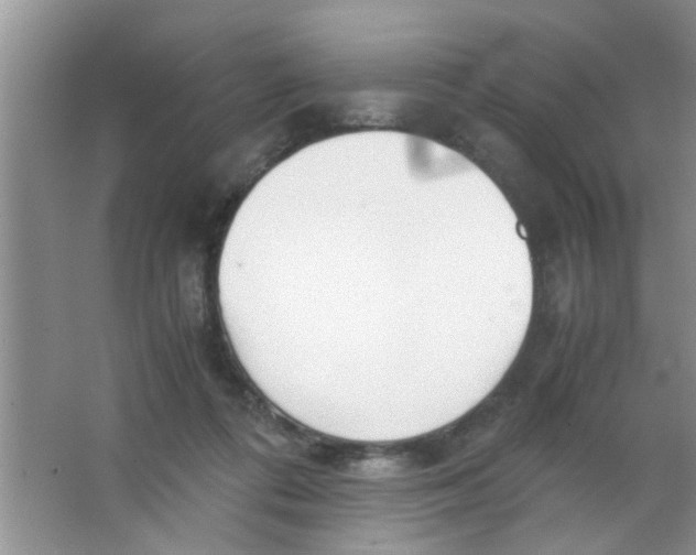 X0000063520312200602101958