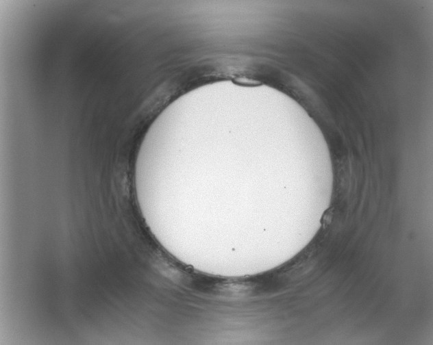 X0000063520313200602101958