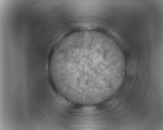 X0000063520314200602101958