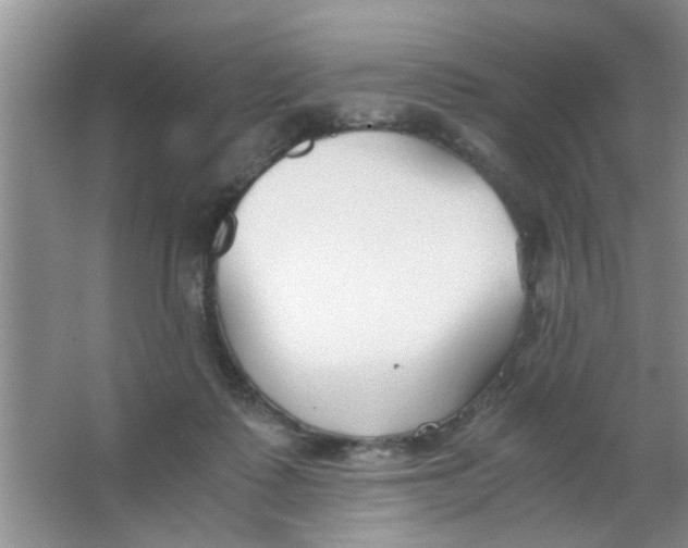 X0000063520315200602101958