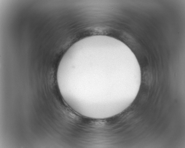 X0000063520318200602101958