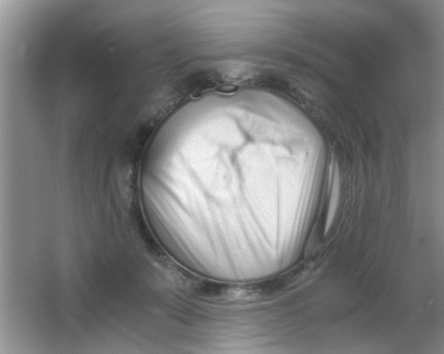 X0000063520319200602101958