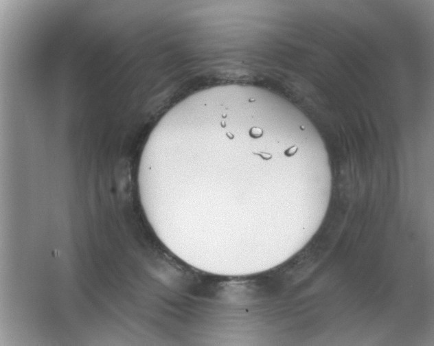 X0000063520320200602101958