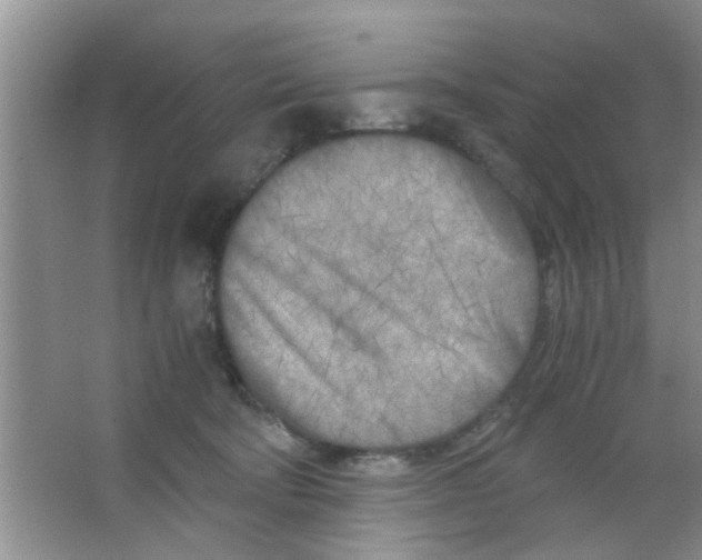 X0000063520322200602101958