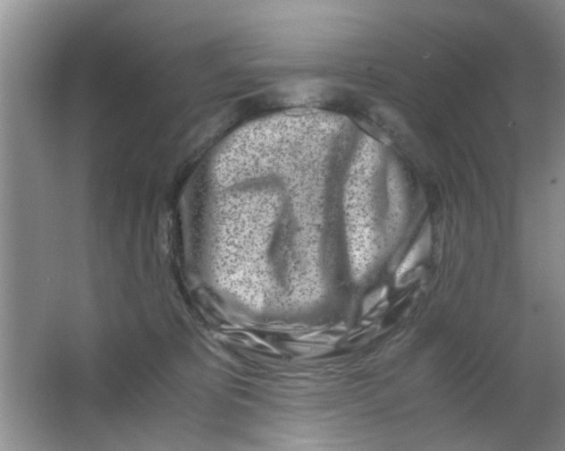 X0000063520325200602101958