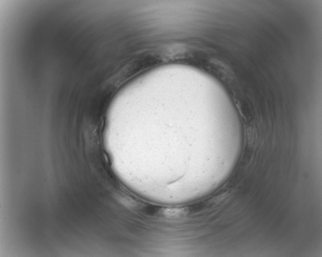 X0000063520327200602101958