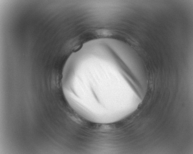 X0000063520330200602101958