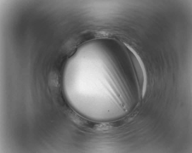 X0000063520331200602101958