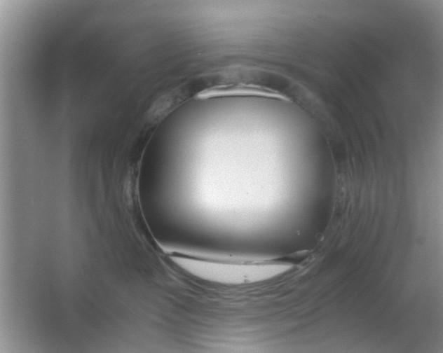 X0000063520333200602101958