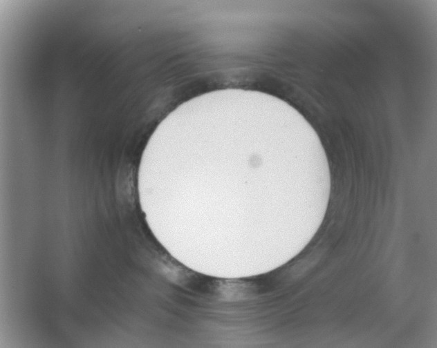 X0000063520336200602101958