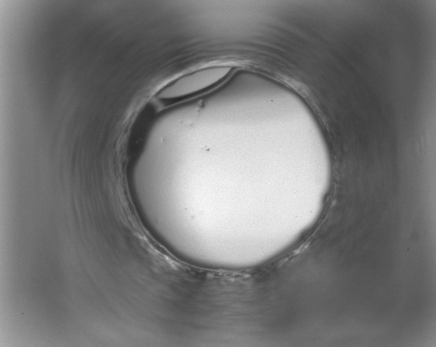 X0000063520337200602101957