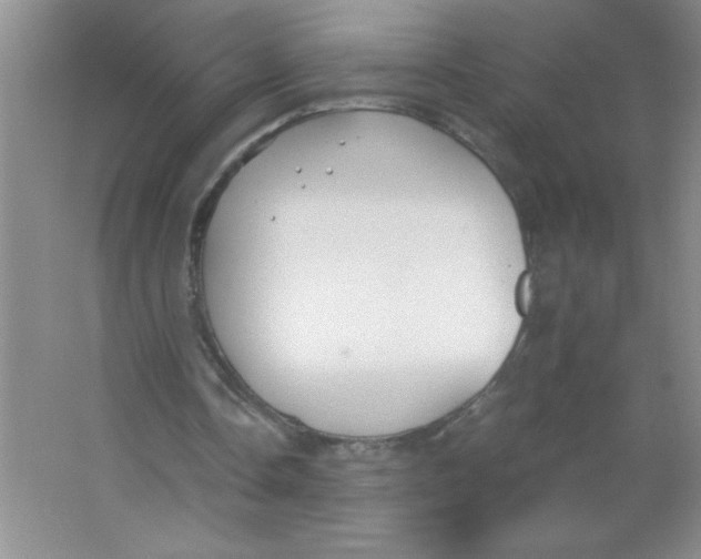 X0000063520338200602101957