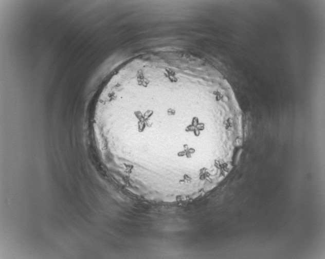 X0000063520339200602101957