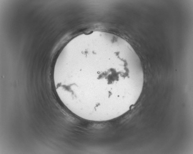 X0000063520341200602101957