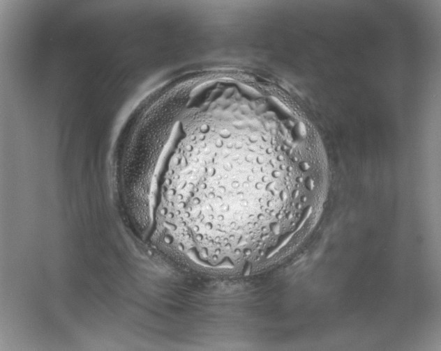 X0000063520343200602101957