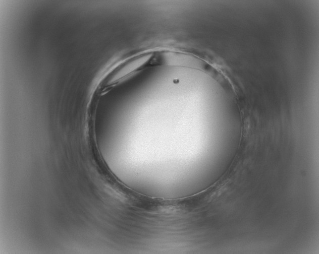 X0000063520344200602101957