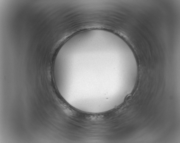 X0000063520345200602101957