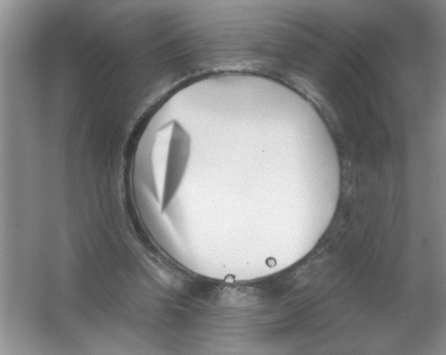 X0000063520346200602101957