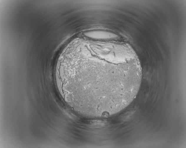 X0000063520347200602101957