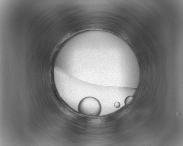 X0000063520349200602101957