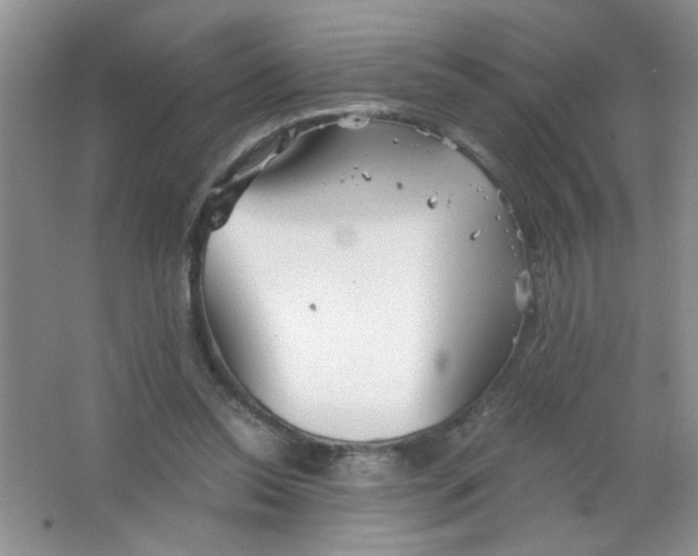 X0000063520350200602101957