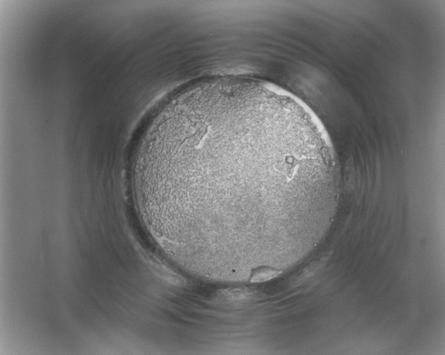 X0000063520351200602101957