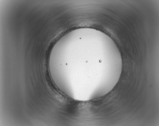 X0000063520354200602101957