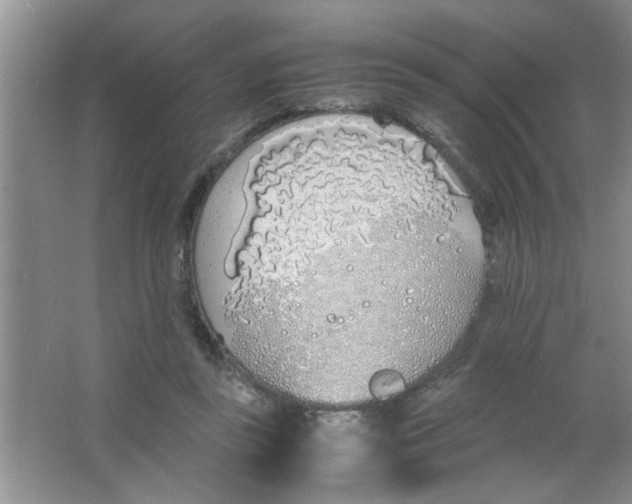 X0000063520355200602101957