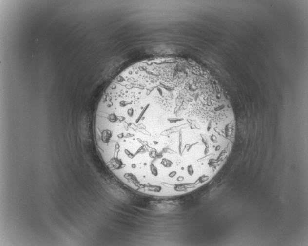 X0000063520359200602101957