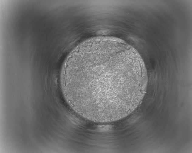 X0000063520363200602101957