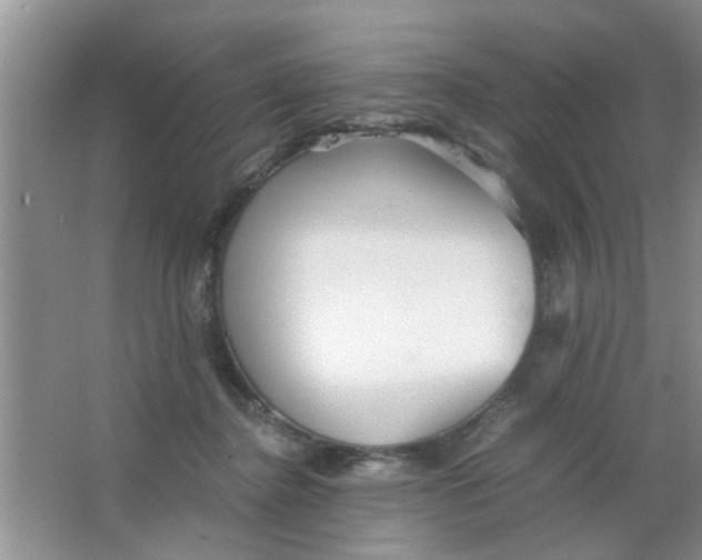 X0000063520364200602101957