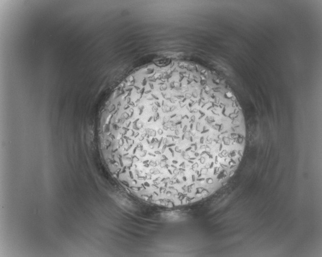 X0000063520365200602101957