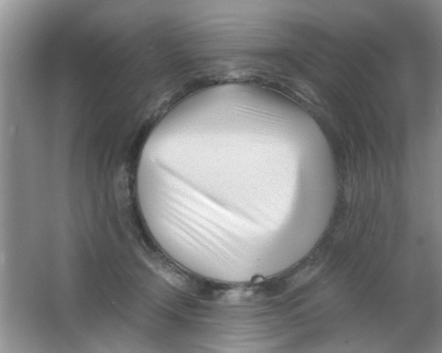 X0000063520366200602101957